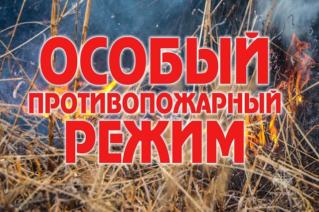 На территории Хакасии вводится особый противопожарный режим
