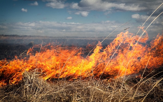 Власти республики призывают: «Не становитесь причиной степных пожаров!»